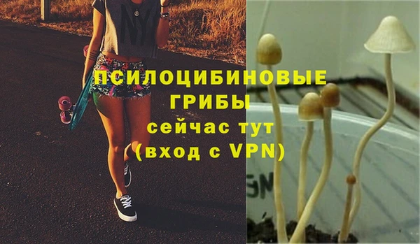 эйфоретик Нея