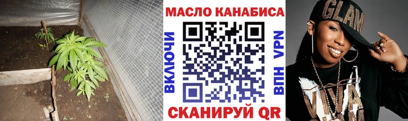 Купить  Снежногорск  Дистиллят ТГК гашишное масло 