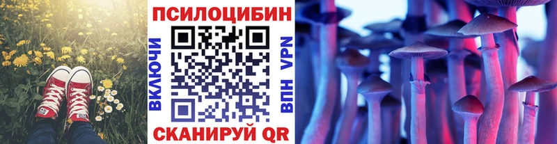 Галлюциногенные грибы ЛСД  Купить закладки  Снежногорск 