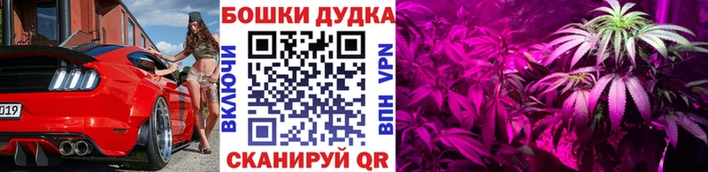 Купить где  Снежногорск  Шишки марихуана White Widow 
